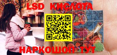 шишки Славгород