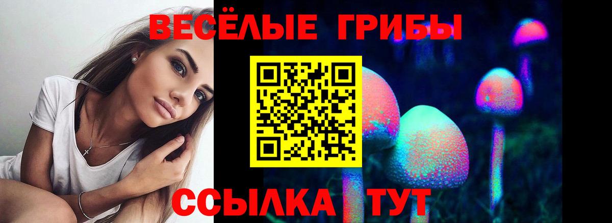 Псилоцибиновые грибы GOLDEN TEACHER  Вход с VPN  Орёл 